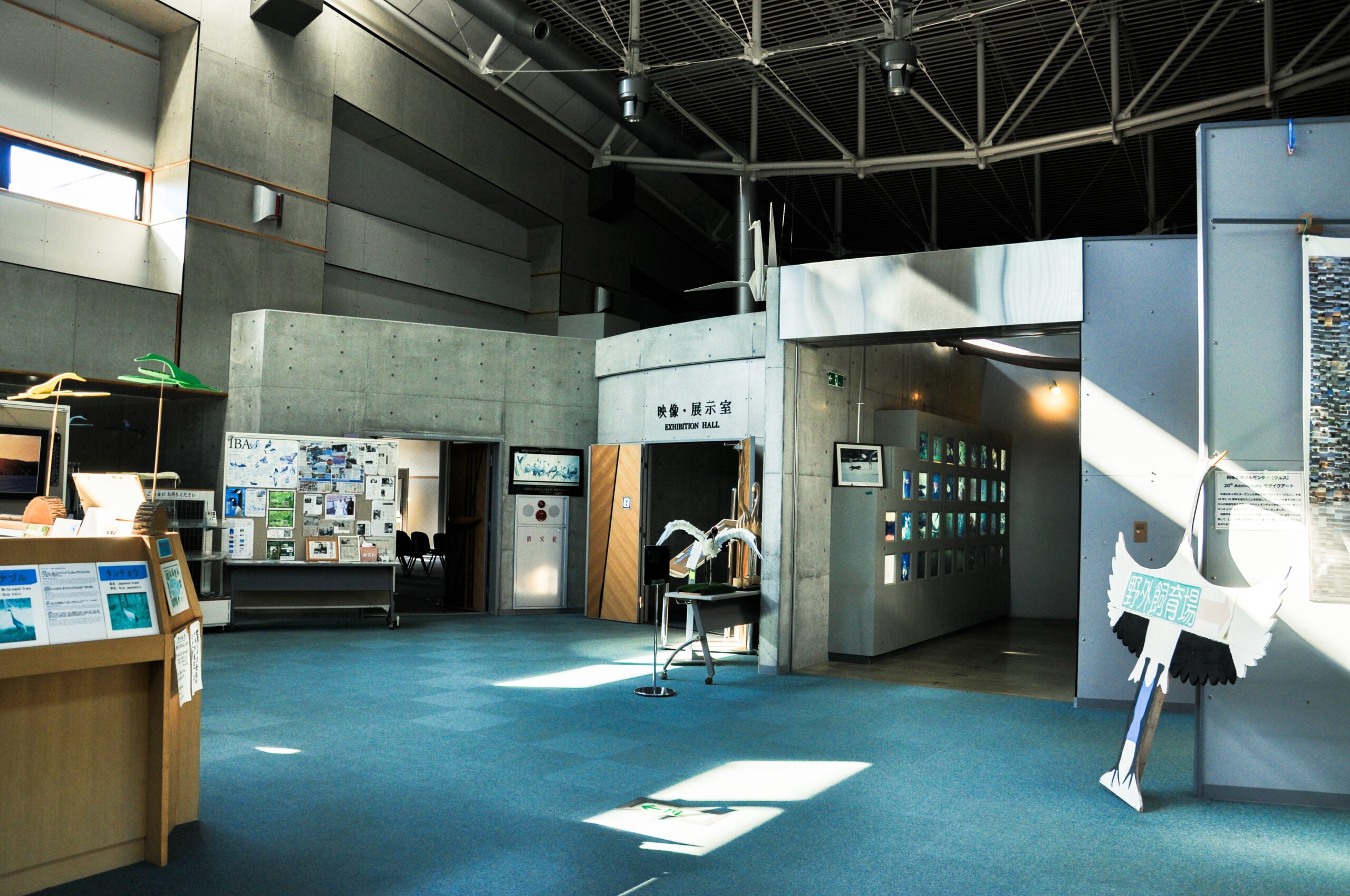 🦢 아칸 국제 두루미 센터 (아칸 코쿠사이 쓰루 센타 구루스) 이미지 7